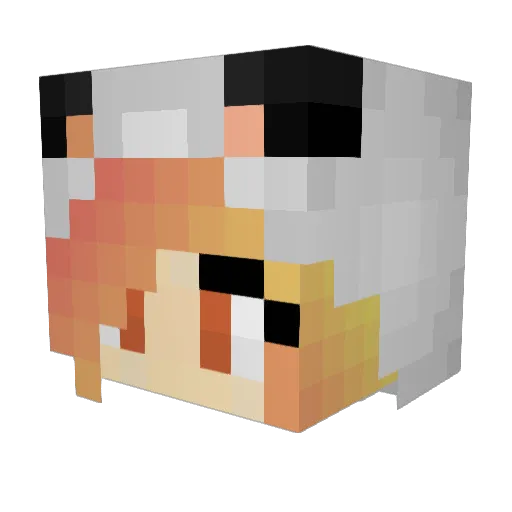TochuQ Minecraft avatar head, 3D render
