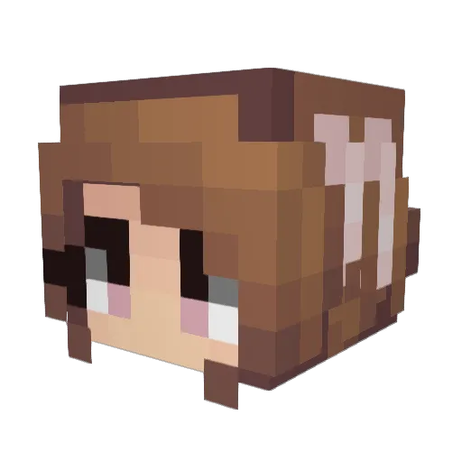 Tocide Minecraft avatar head, 3D render