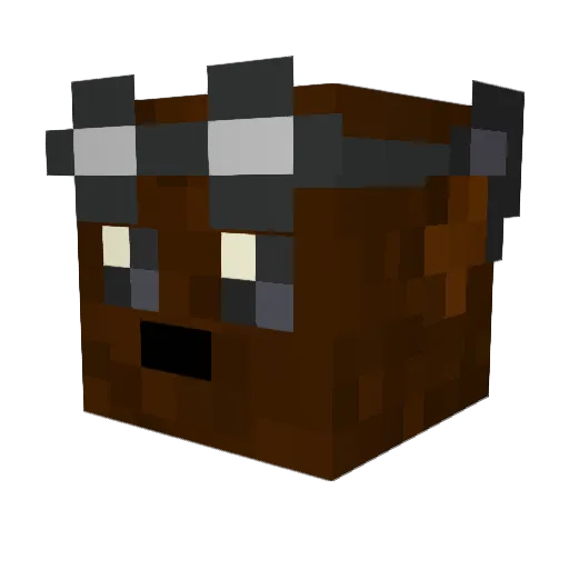 Toco329 Minecraft avatar head, 3D render