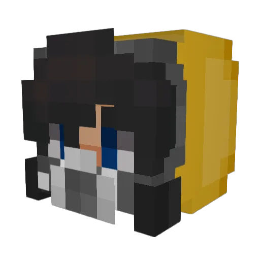 Tocoland Minecraft avatar head, 3D render