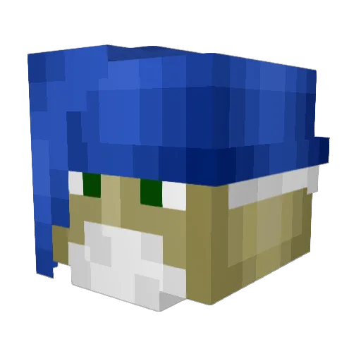 Tocolo Minecraft avatar head, 3D render