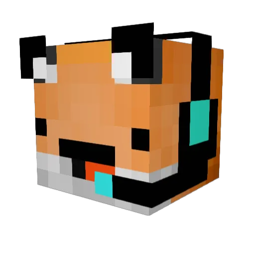 Tocoquinho Minecraft avatar head, 3D render