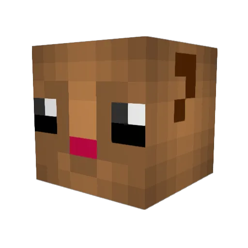 Tocsc Minecraft avatar head, 3D render