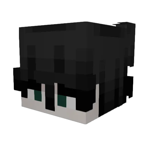 Tocy Minecraft avatar head, 3D render