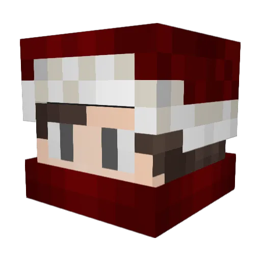 TodDurchTaric Minecraft avatar head, 3D render