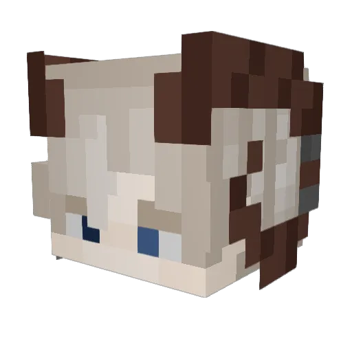 Todaqi Minecraft avatar head, 3D render