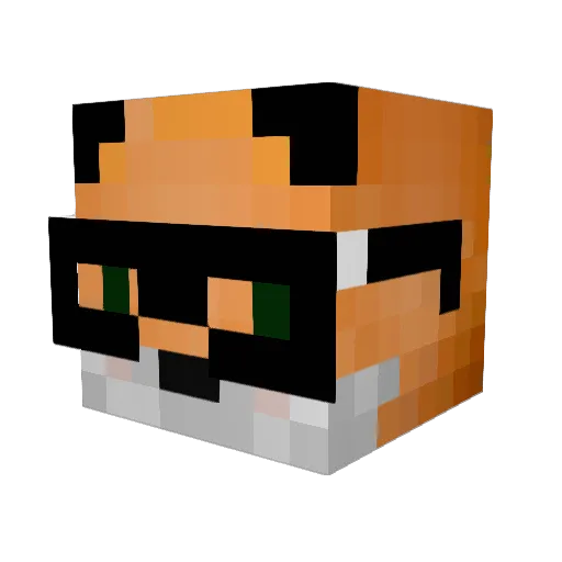 Todd9 Minecraft avatar head, 3D render