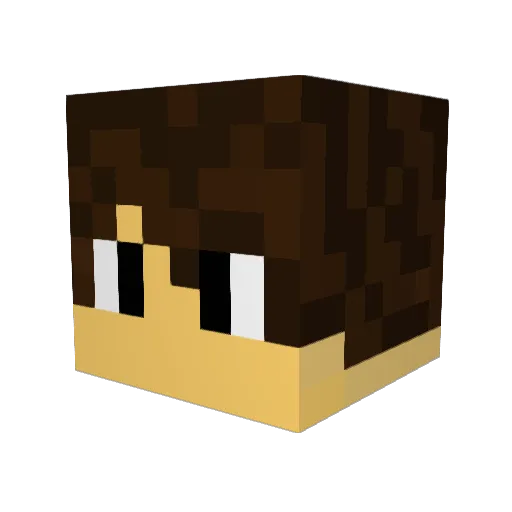 ToddMorley Minecraft avatar head, 3D render