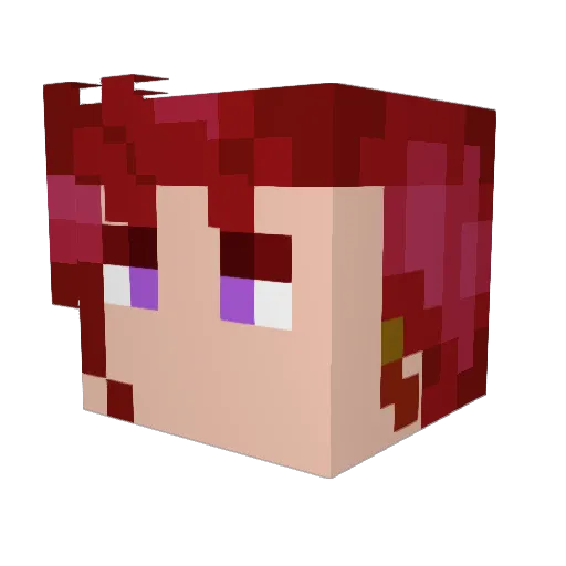 Todd_Howards Minecraft avatar head, 3D render