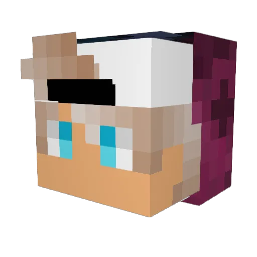 ToddnotToad Minecraft avatar head, 3D render