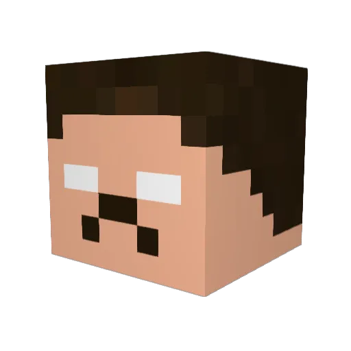 Toddy1312 Minecraft avatar head, 3D render