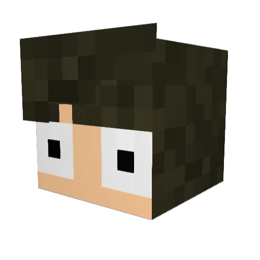 Toddy_1 Minecraft avatar head, 3D render