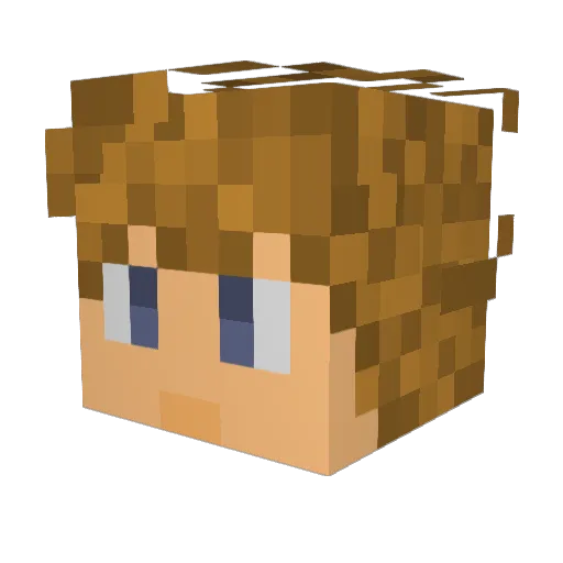 Toddybucus Minecraft avatar head, 3D render