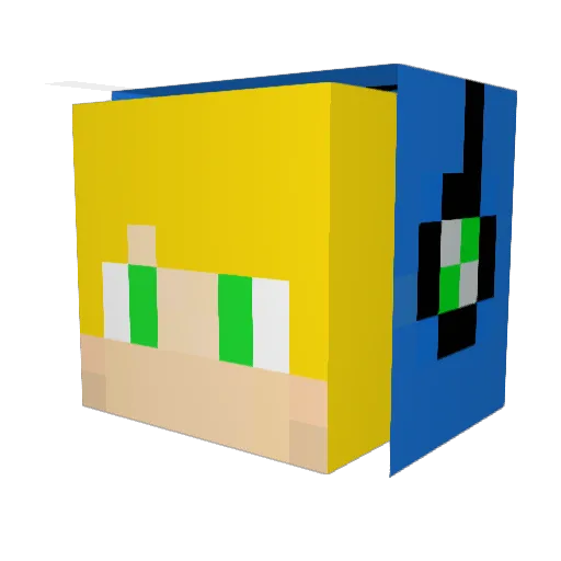 Toddynhoo Minecraft avatar head, 3D render