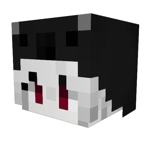 TodesH1gh Minecraft avatar head, 3D render