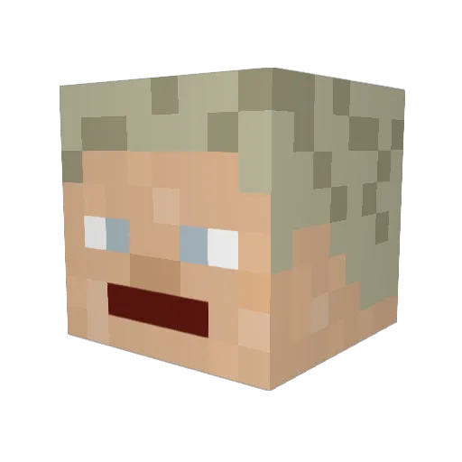 TodesninjaTNG Minecraft avatar head, 3D render