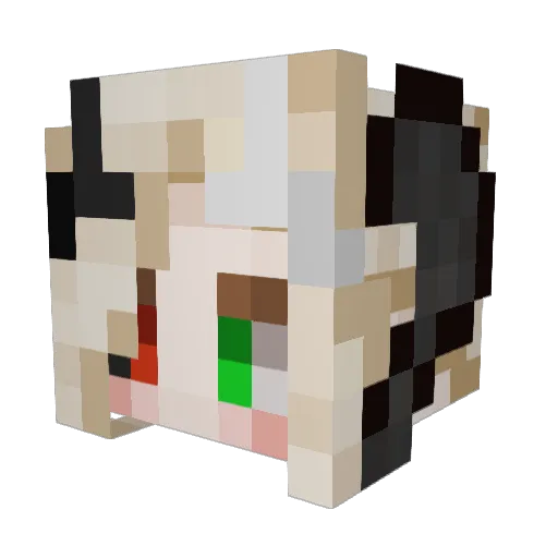 Todestod005 Minecraft avatar head, 3D render