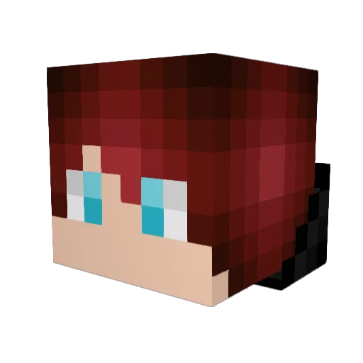 TodiFox Minecraft avatar head, 3D render