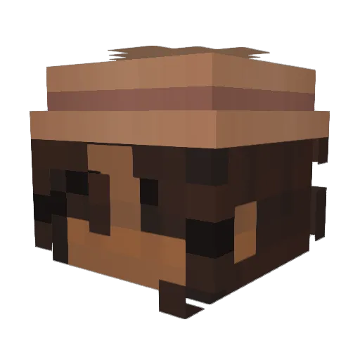 Todobi Minecraft avatar head, 3D render