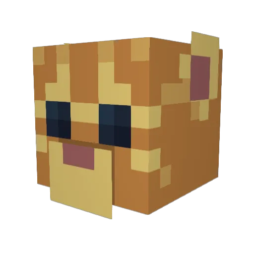 Todor0ki_ Minecraft avatar head, 3D render