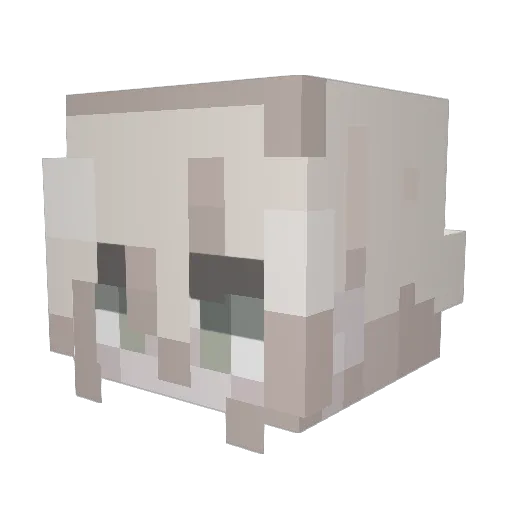 Todorikillo Minecraft avatar head, 3D render
