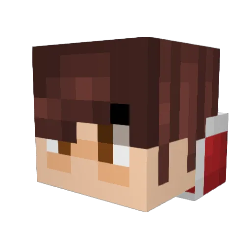 Tods3n Minecraft avatar head, 3D render