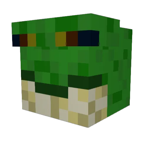 ToeB305 Minecraft avatar head, 3D render