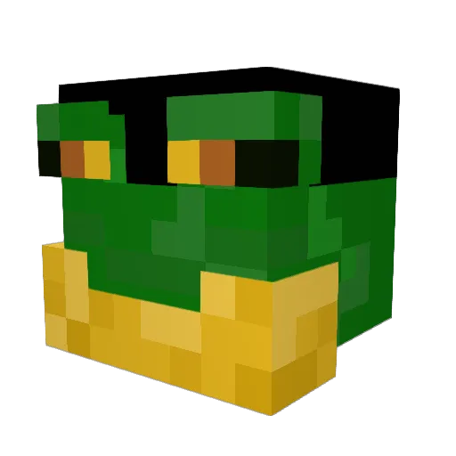 ToeJellyFN2 Minecraft avatar head, 3D render