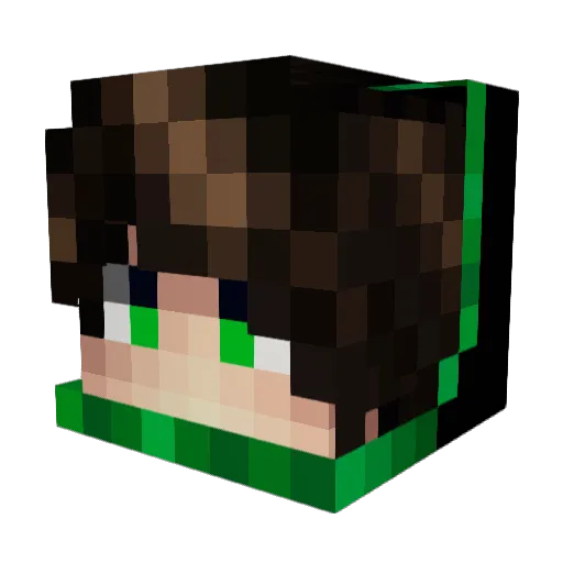 ToeLicker1234 Minecraft avatar head, 3D render