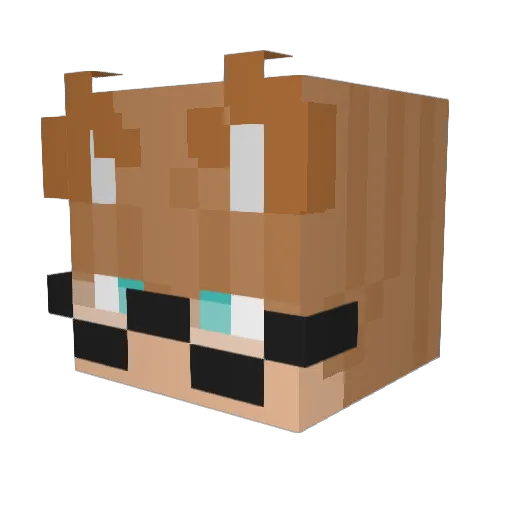 ToeLickers Minecraft avatar head, 3D render