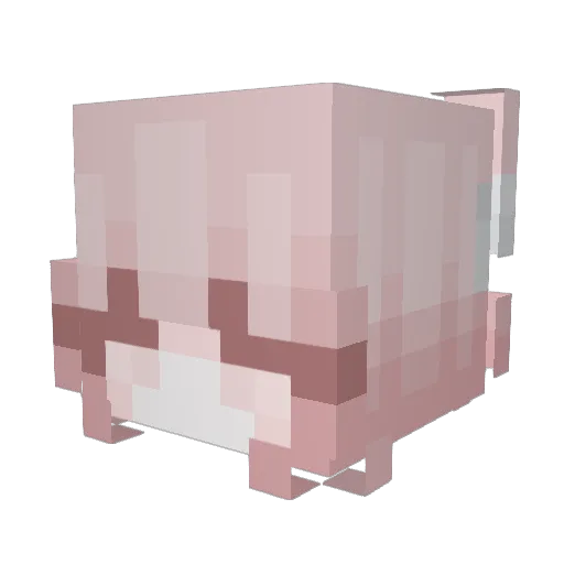 ToeMuncher91 Minecraft avatar head, 3D render