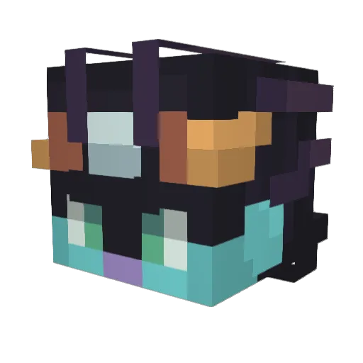 ToeSnacker Minecraft avatar head, 3D render