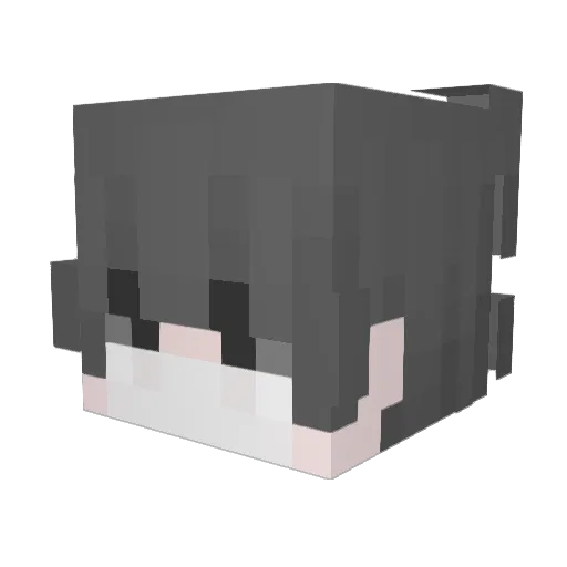 ToeSnifferSteve Minecraft avatar head, 3D render
