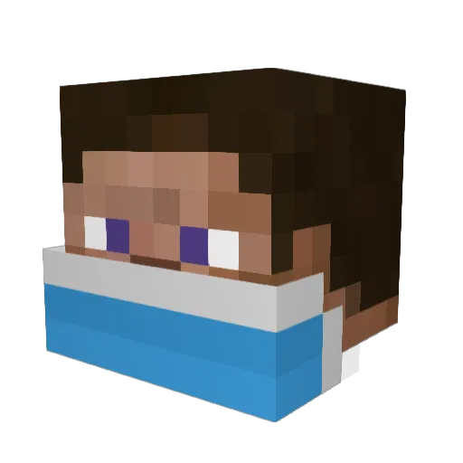 Toe_B Minecraft avatar head, 3D render