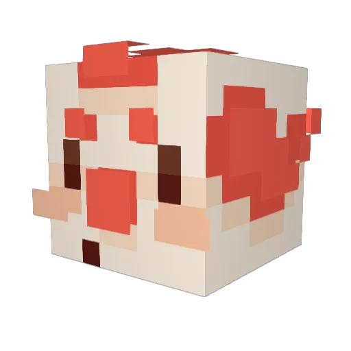 Toe_Fungus_ Minecraft avatar head, 3D render