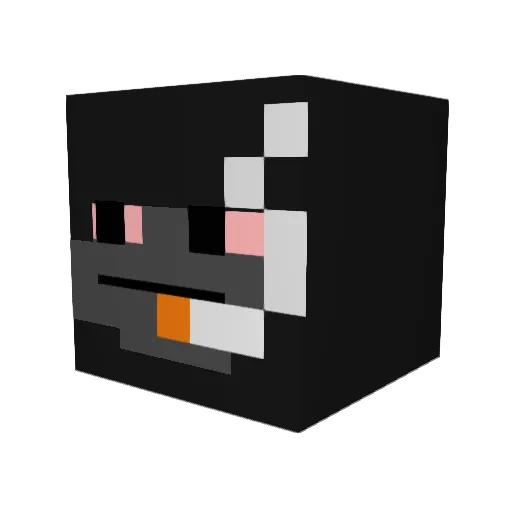 Toe_Worshiper Minecraft avatar head, 3D render