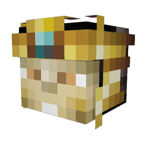Toeb_01 Minecraft avatar head, 3D render
