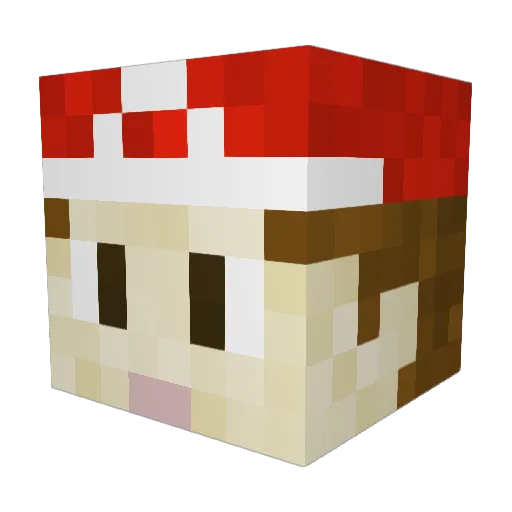 ToejamSauce Minecraft avatar head, 3D render