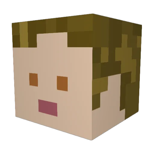 Toeluvr59 Minecraft avatar head, 3D render