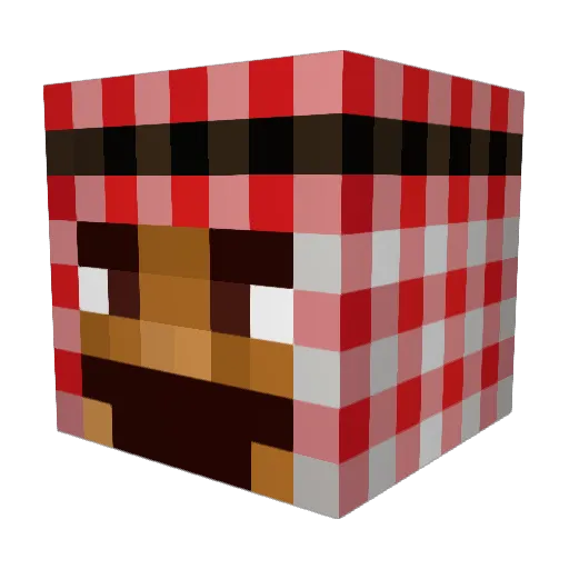 Toempologe Minecraft avatar head, 3D render