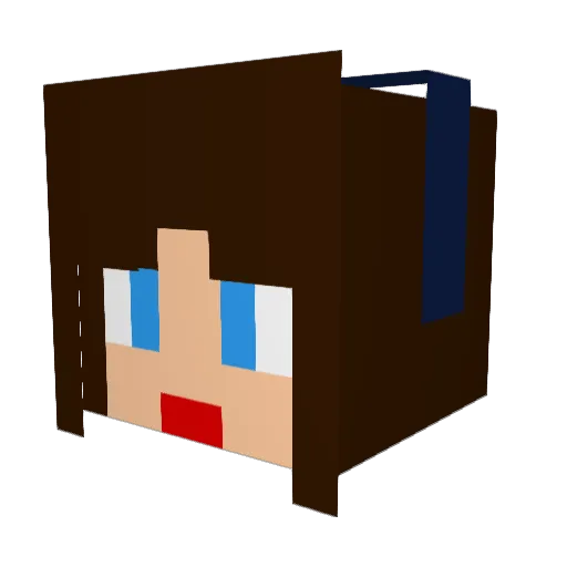 Toenail_taker Minecraft avatar head, 3D render