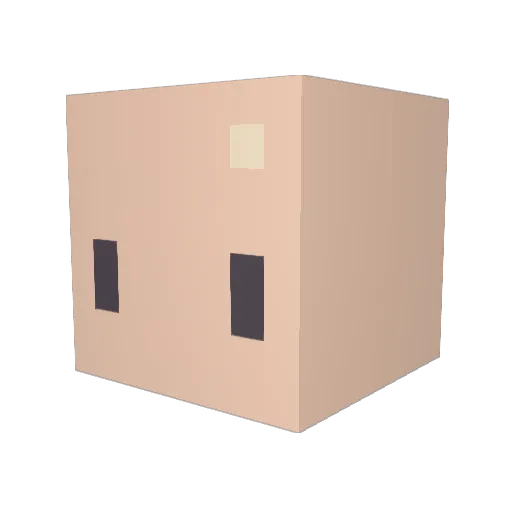 Toenailspoon76 Minecraft avatar head, 3D render