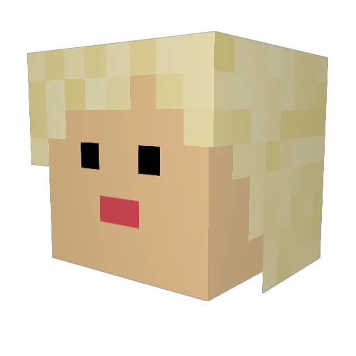Toeniii Minecraft avatar head, 3D render