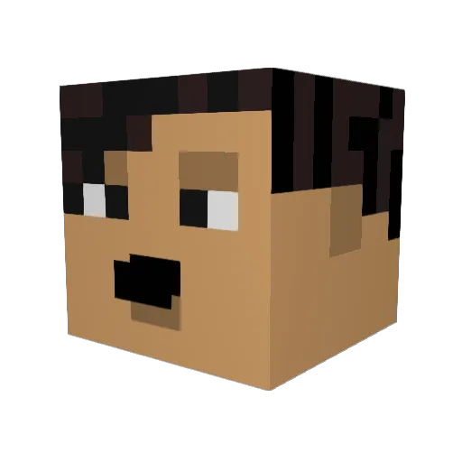 Toepa Minecraft avatar head, 3D render