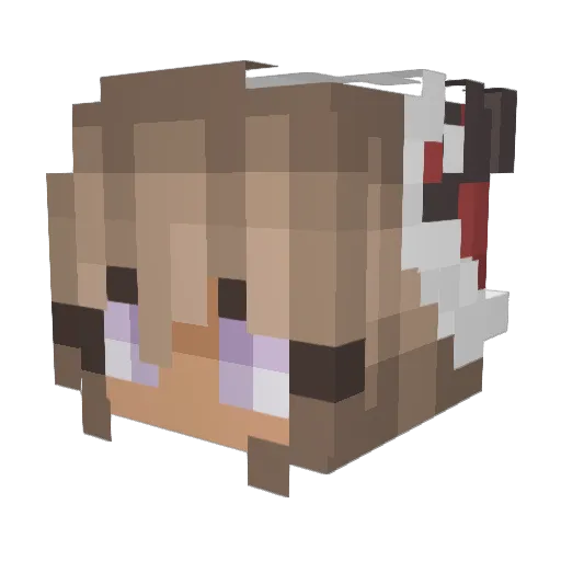ToetieSnoetie Minecraft avatar head, 3D render