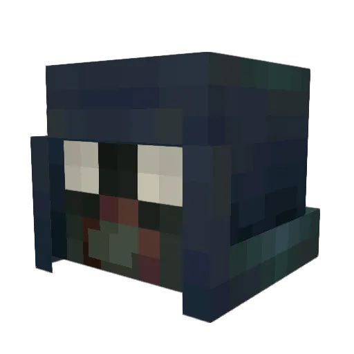 Toevid19 Minecraft avatar head, 3D render