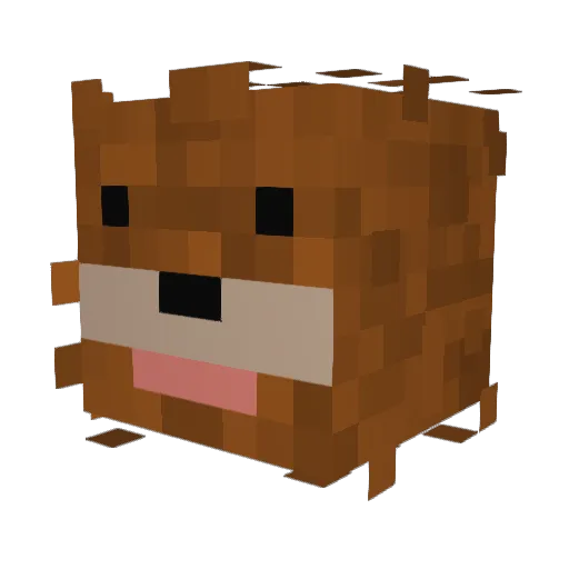 Toewax Minecraft avatar head, 3D render