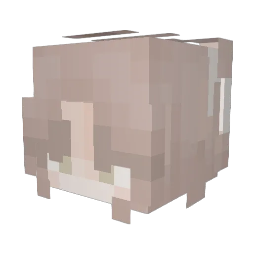 Toeychloe Minecraft avatar head, 3D render
