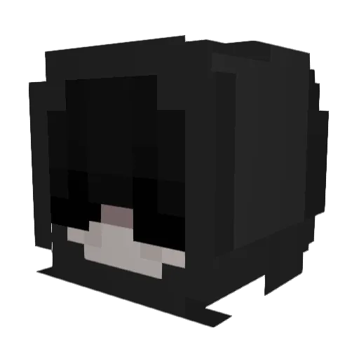 Toeyy5 Minecraft avatar head, 3D render