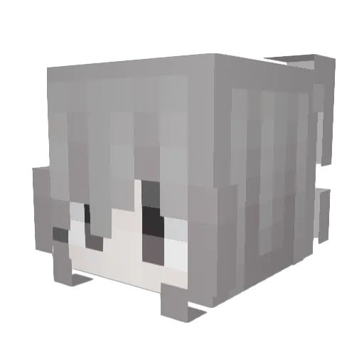TofFeeOvO Minecraft avatar head, 3D render